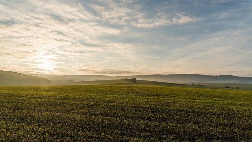 Las principales instituciones de Navarra debaten medidas para frenar la despoblación rural